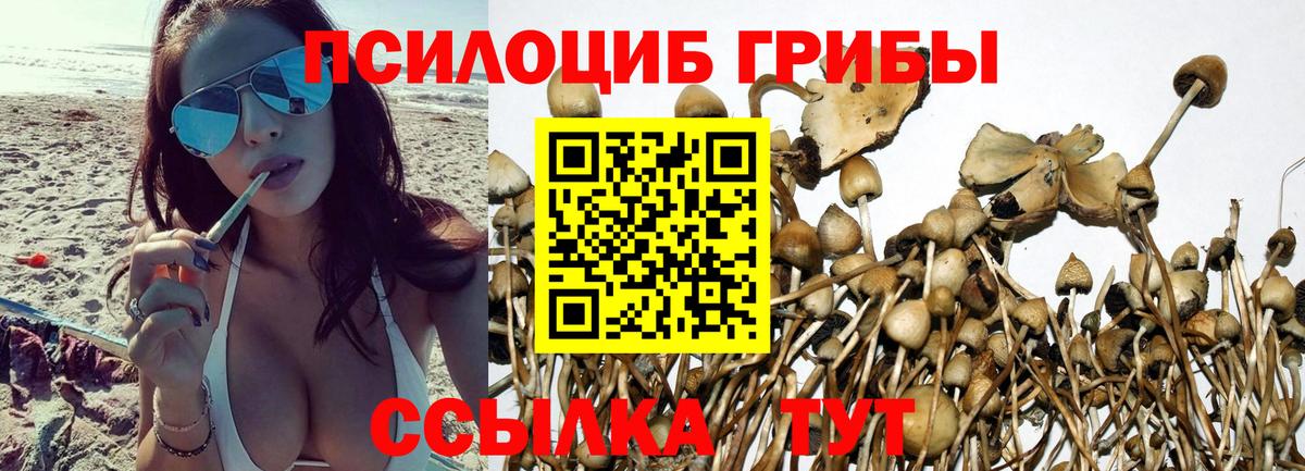 цены наркотик  Галлюциногенные грибы MAGIC MUSHROOMS  Псилоцибиновые грибы прущие грибы  Вход с VPN  Асбест 